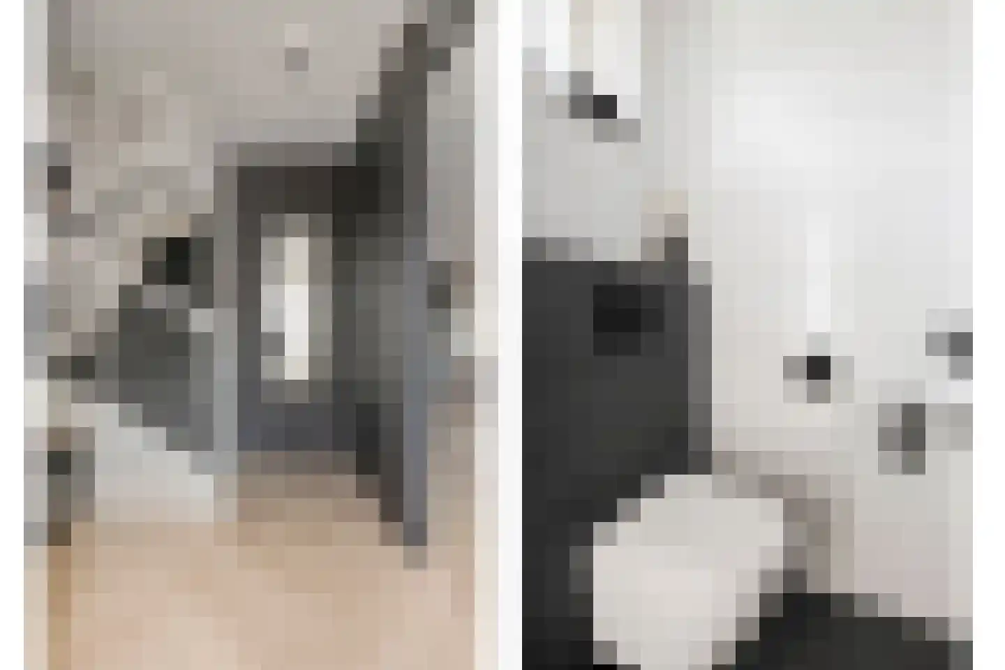 Boeregroentje 3 Ruinerwold thumbnail 13
