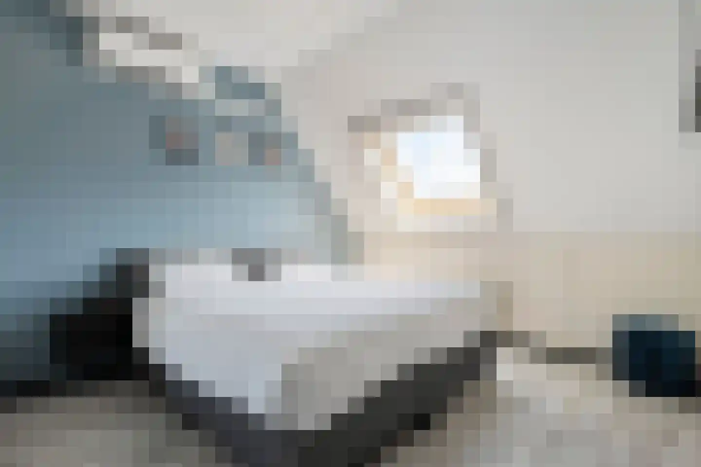 Boeregroentje 3 Ruinerwold thumbnail 18