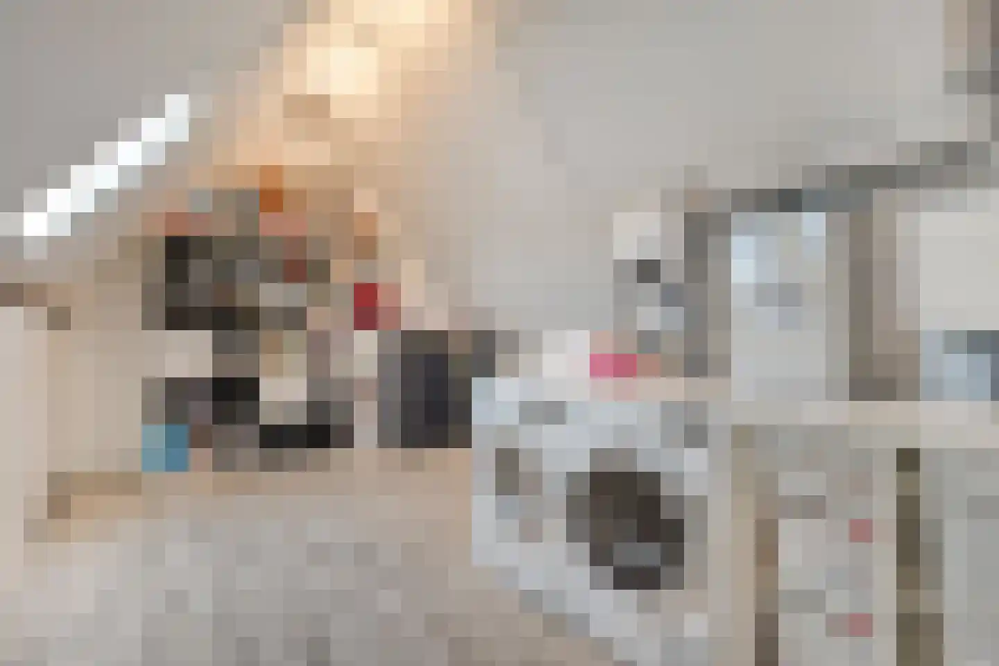 Boeregroentje 3 Ruinerwold thumbnail 25
