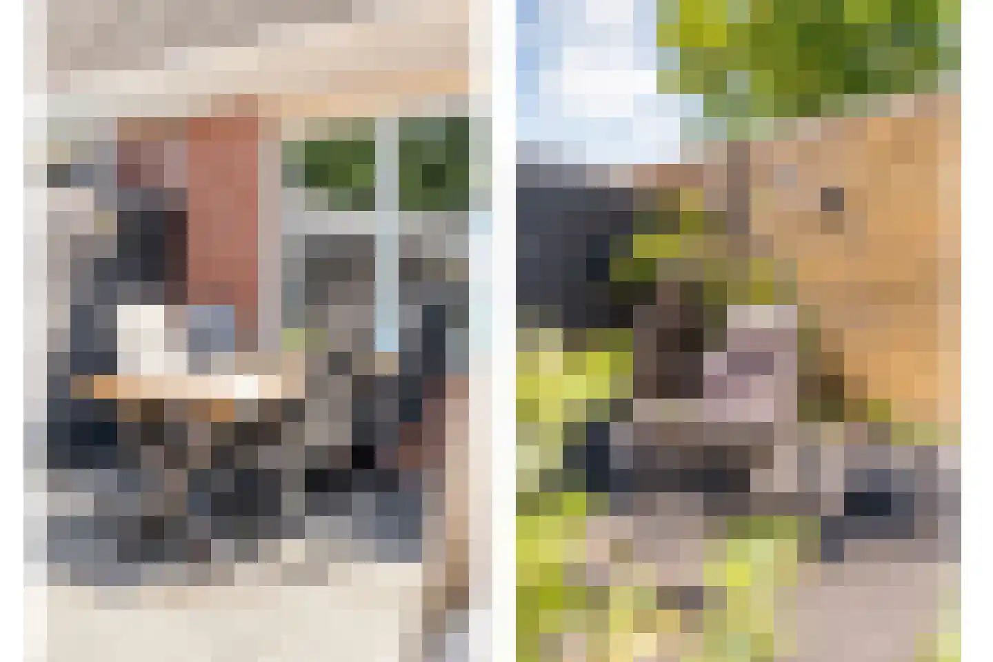 Boeregroentje 3 Ruinerwold thumbnail 29