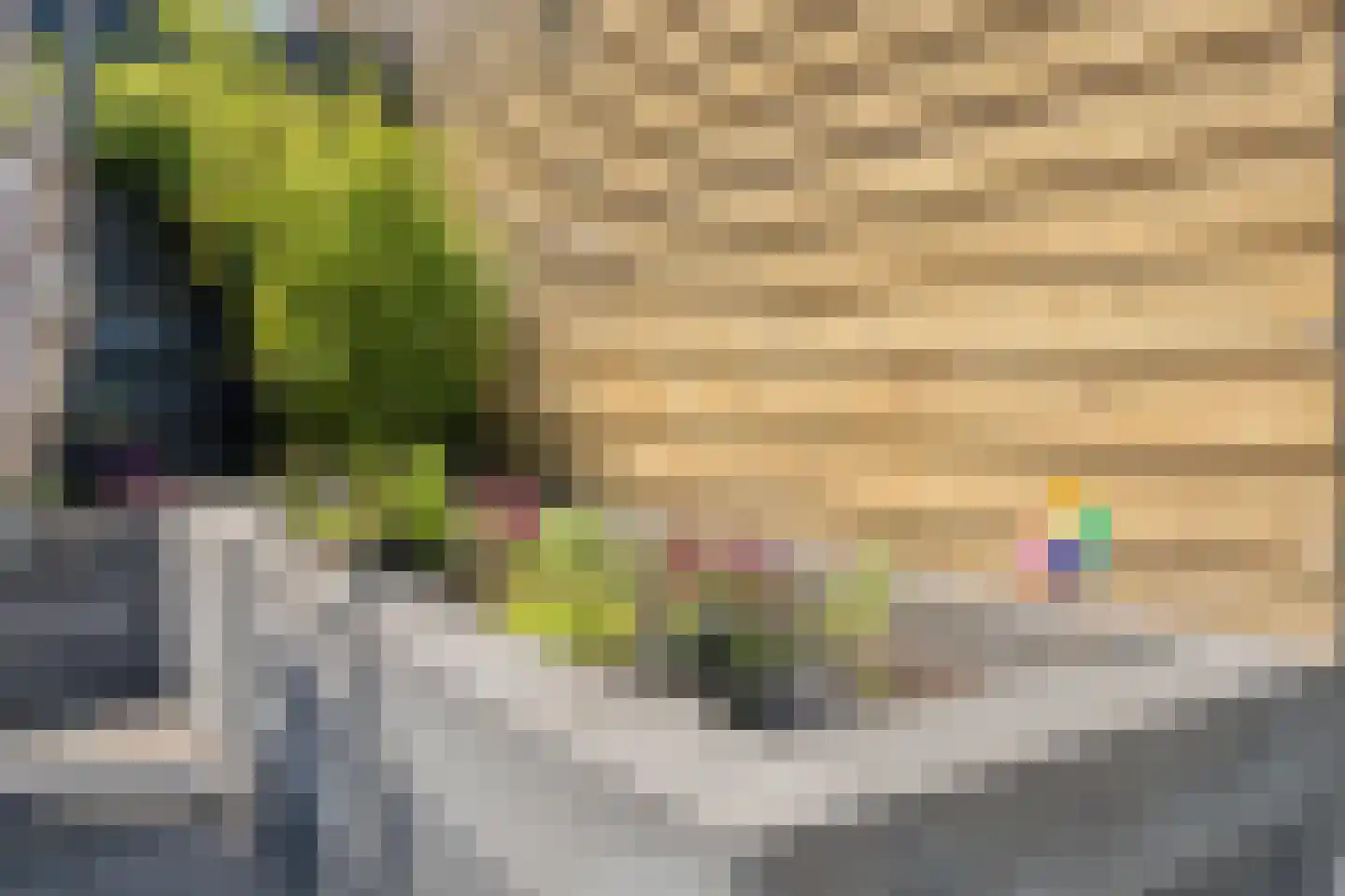 Boeregroentje 3 Ruinerwold thumbnail 31