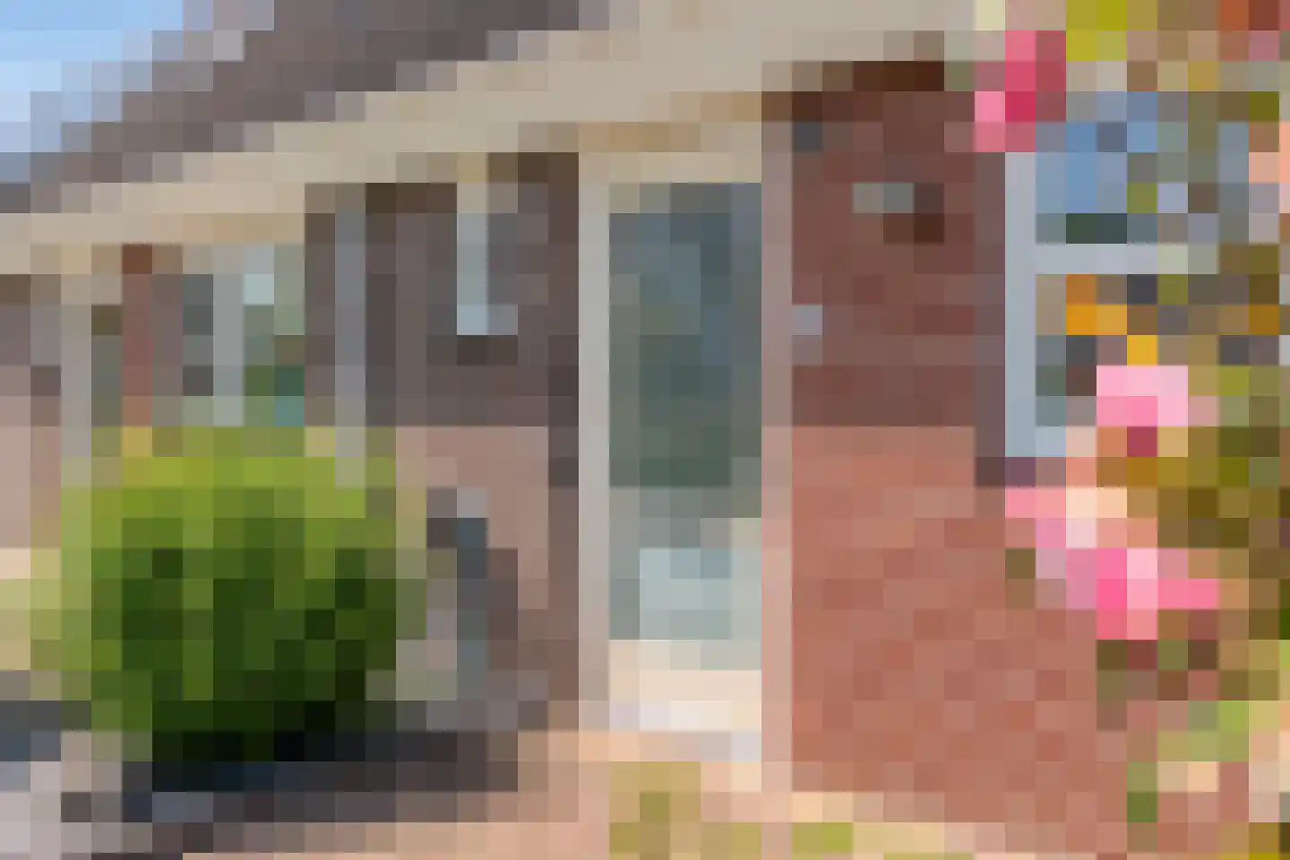 Boeregroentje 3 Ruinerwold thumbnail 35