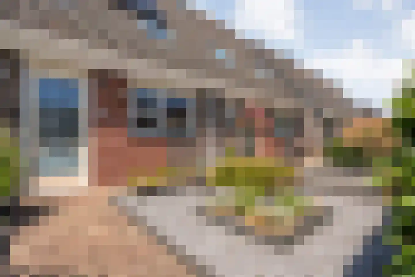Boeregroentje 3 Ruinerwold thumbnail 36