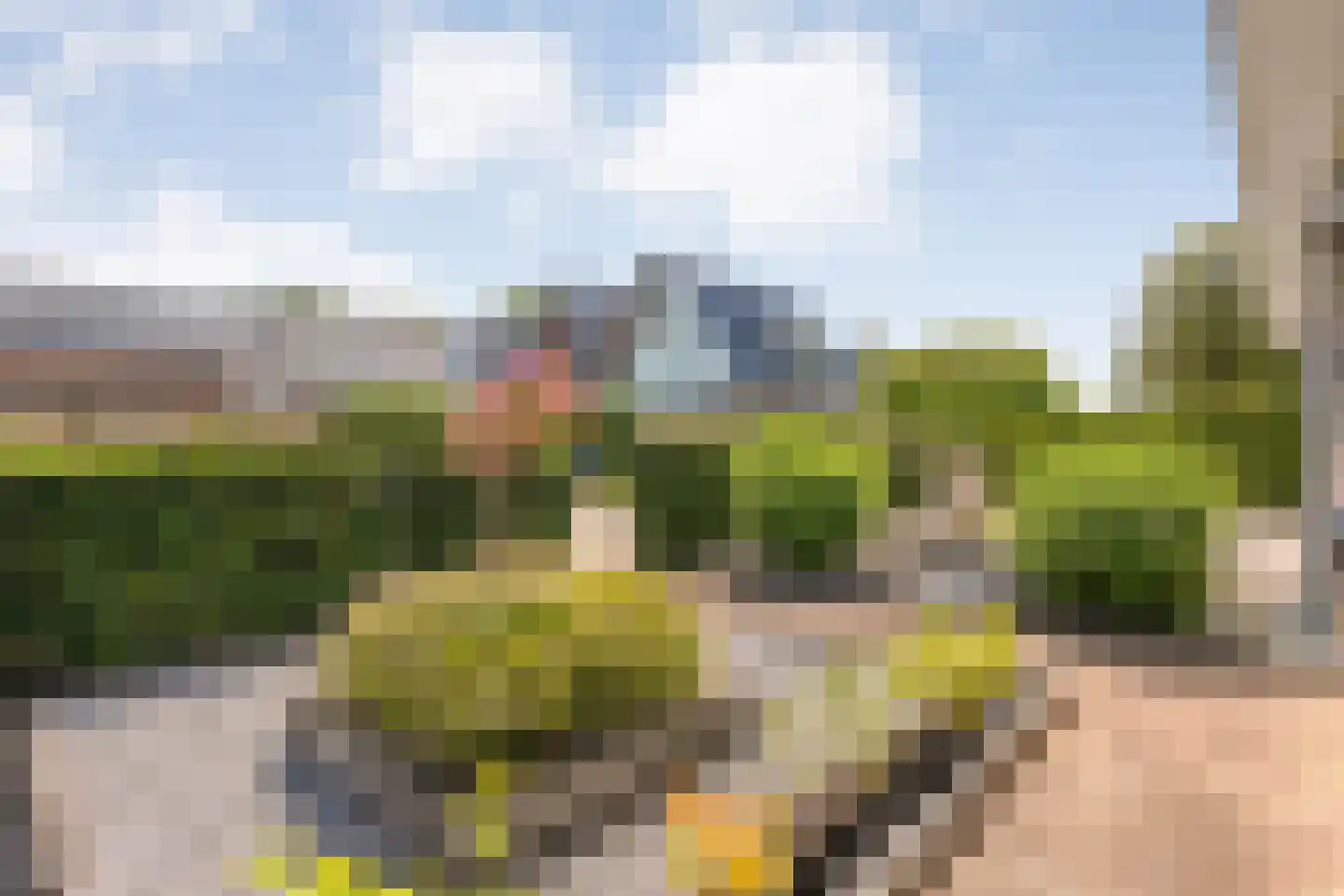 Boeregroentje 3 Ruinerwold thumbnail 37
