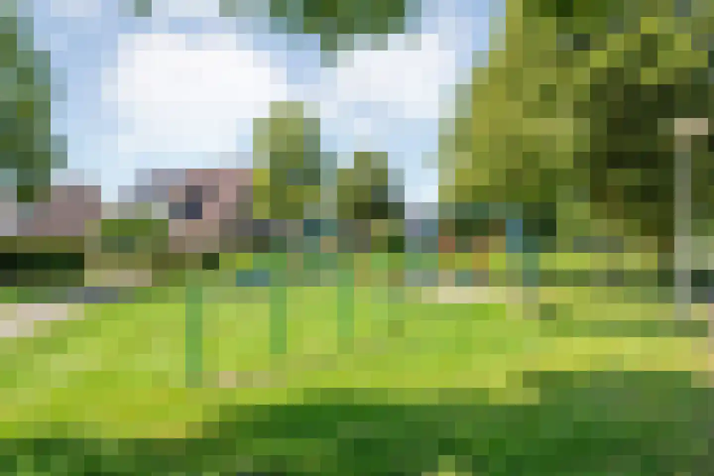 Boeregroentje 3 Ruinerwold thumbnail 40