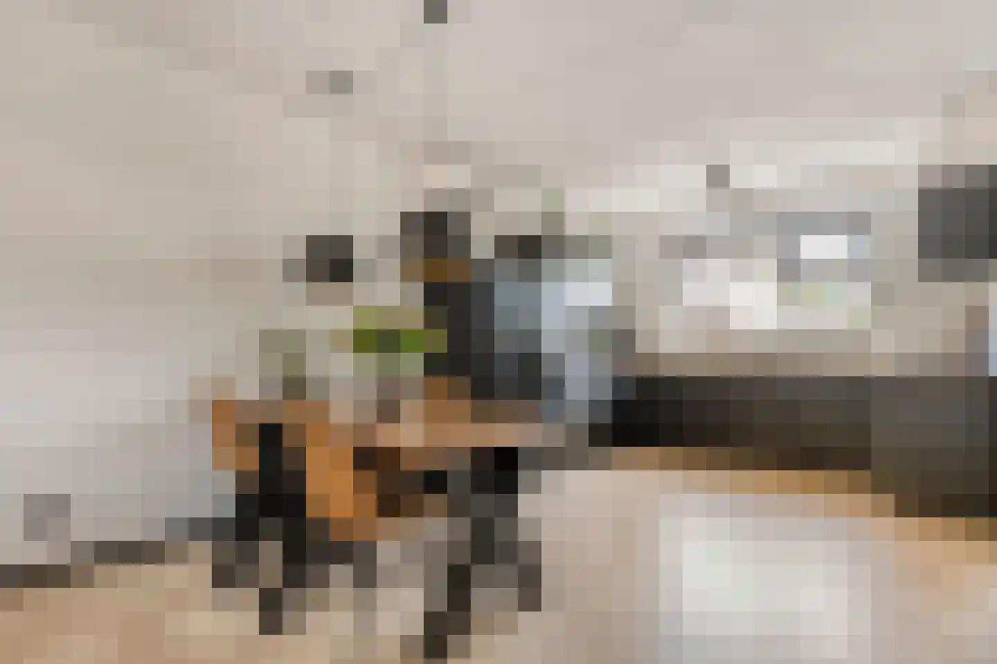 Boeregroentje 3 Ruinerwold thumbnail 7