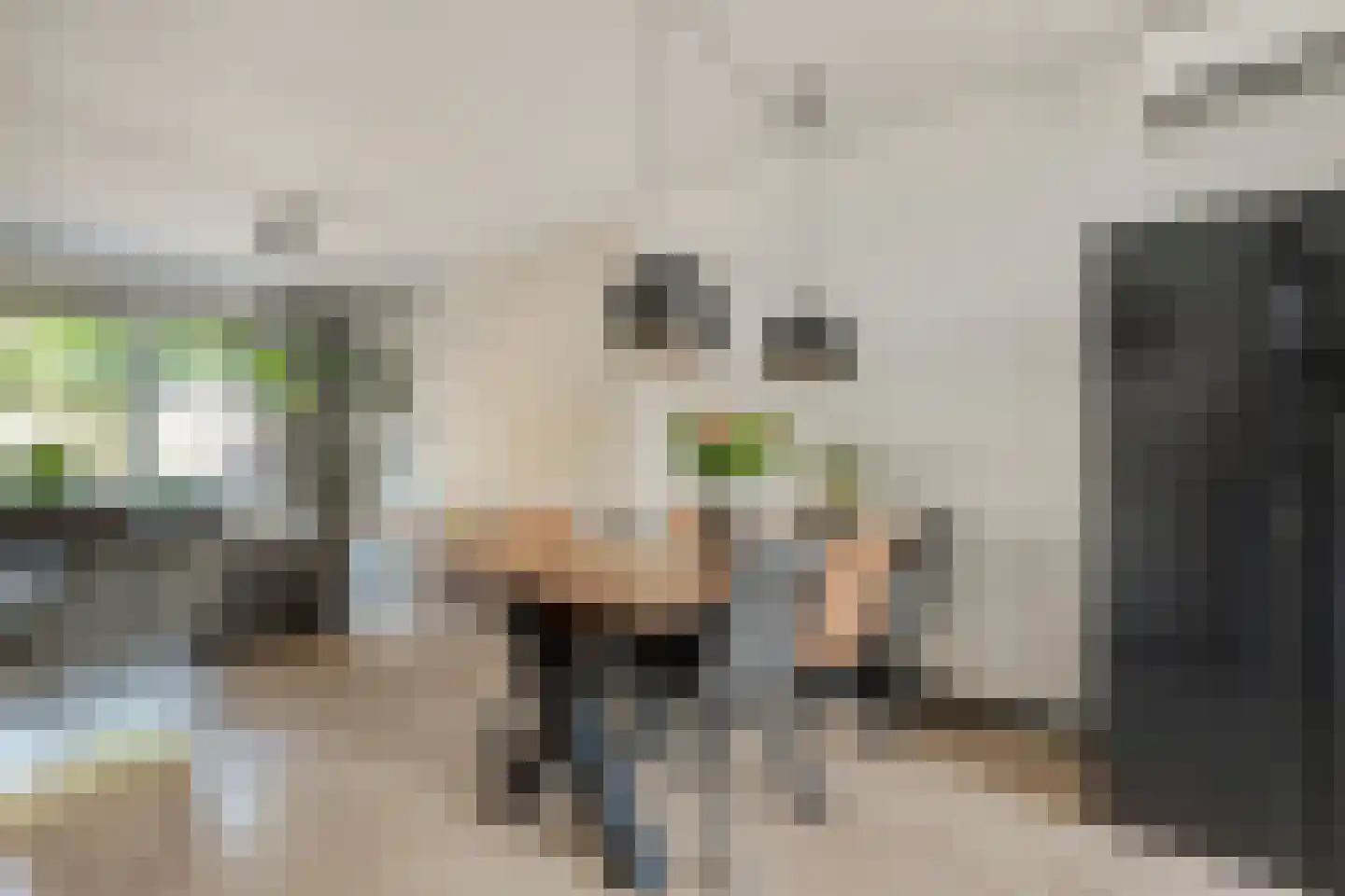 Boeregroentje 3 Ruinerwold thumbnail 8