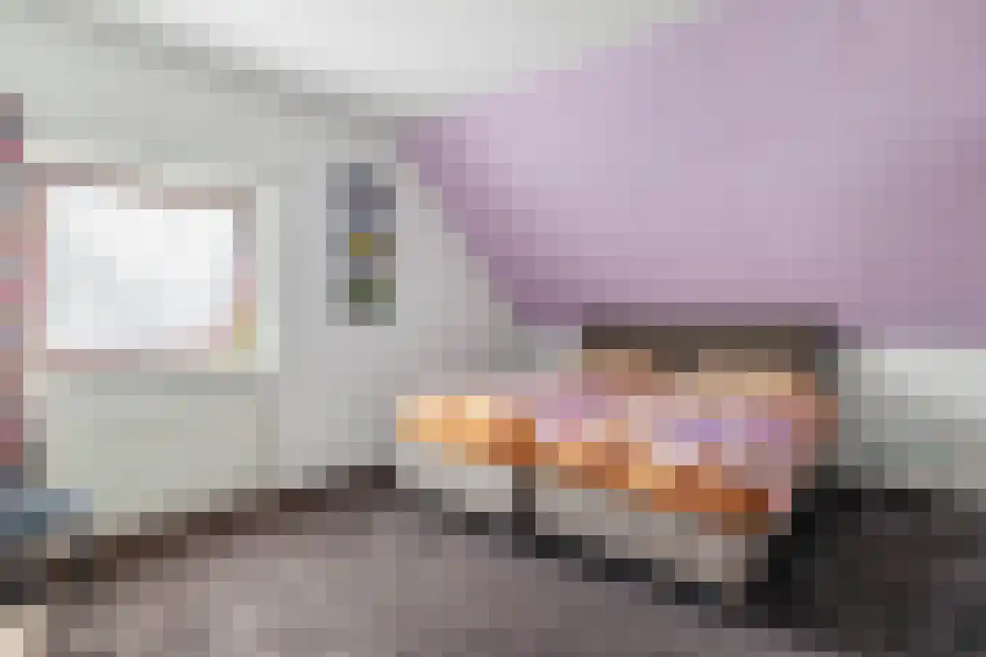 Boerekrookje 37 Boornbergum thumbnail 16