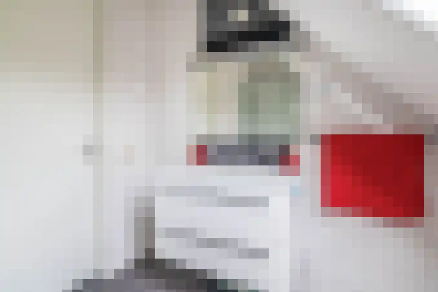 Boerekrookje 37 Boornbergum thumbnail 22