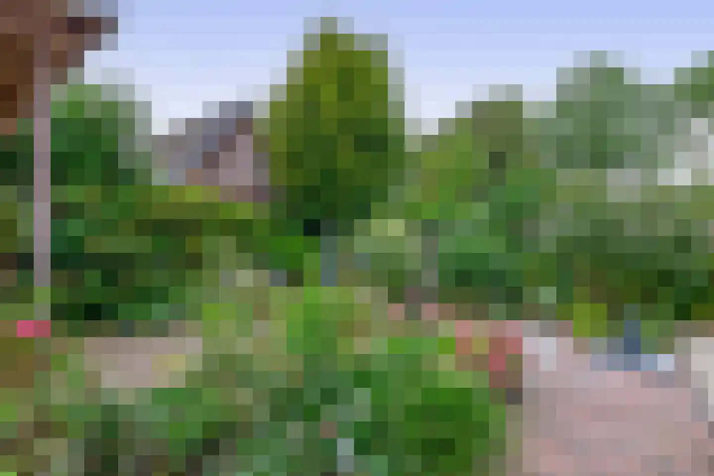 Boerekrookje 37 Boornbergum thumbnail 24
