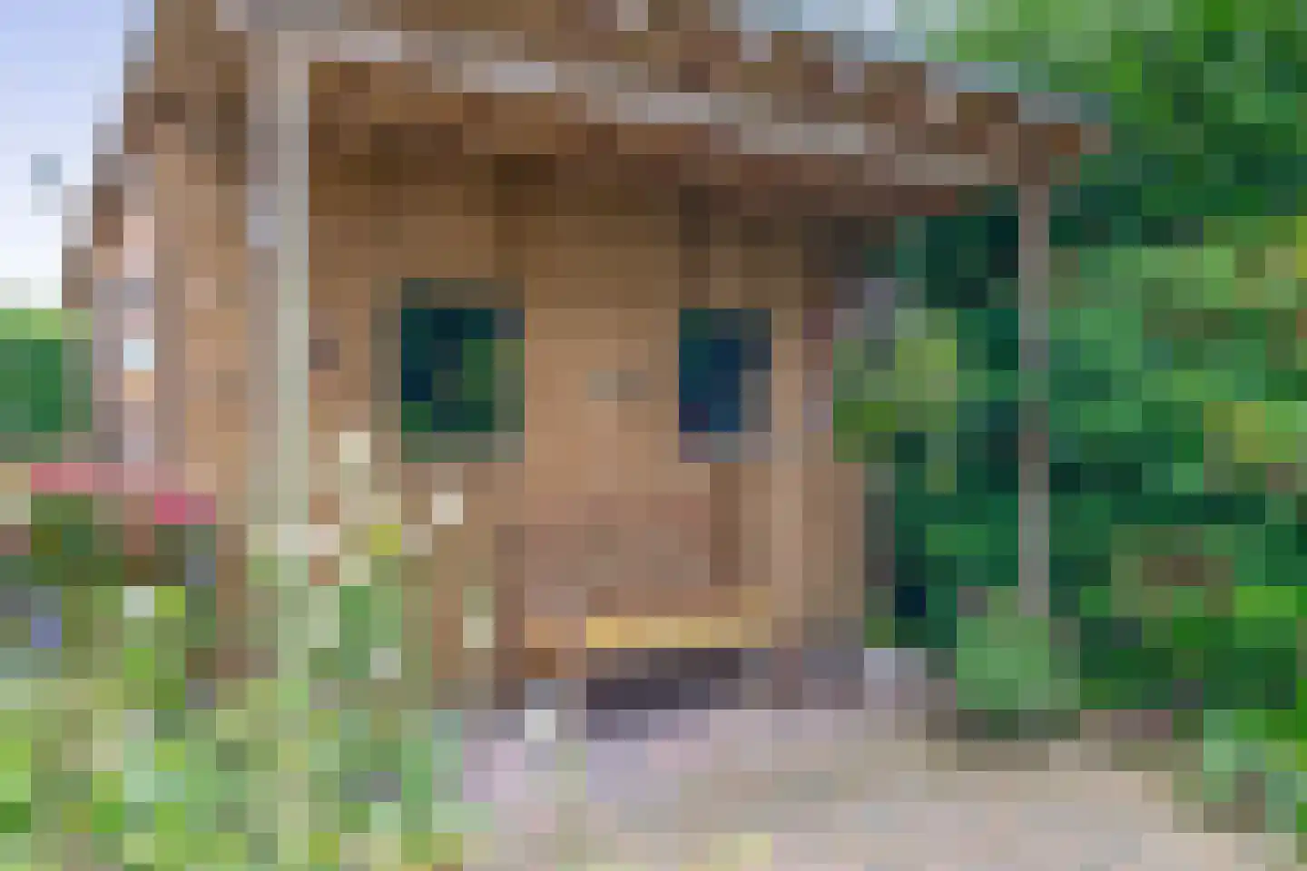 Boerekrookje 37 Boornbergum thumbnail 26