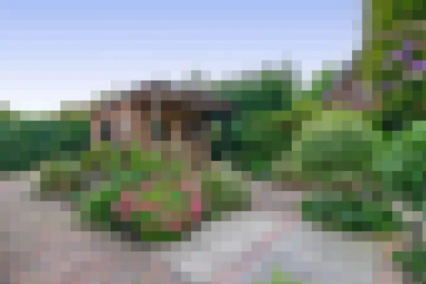 Boerekrookje 37 Boornbergum thumbnail 27