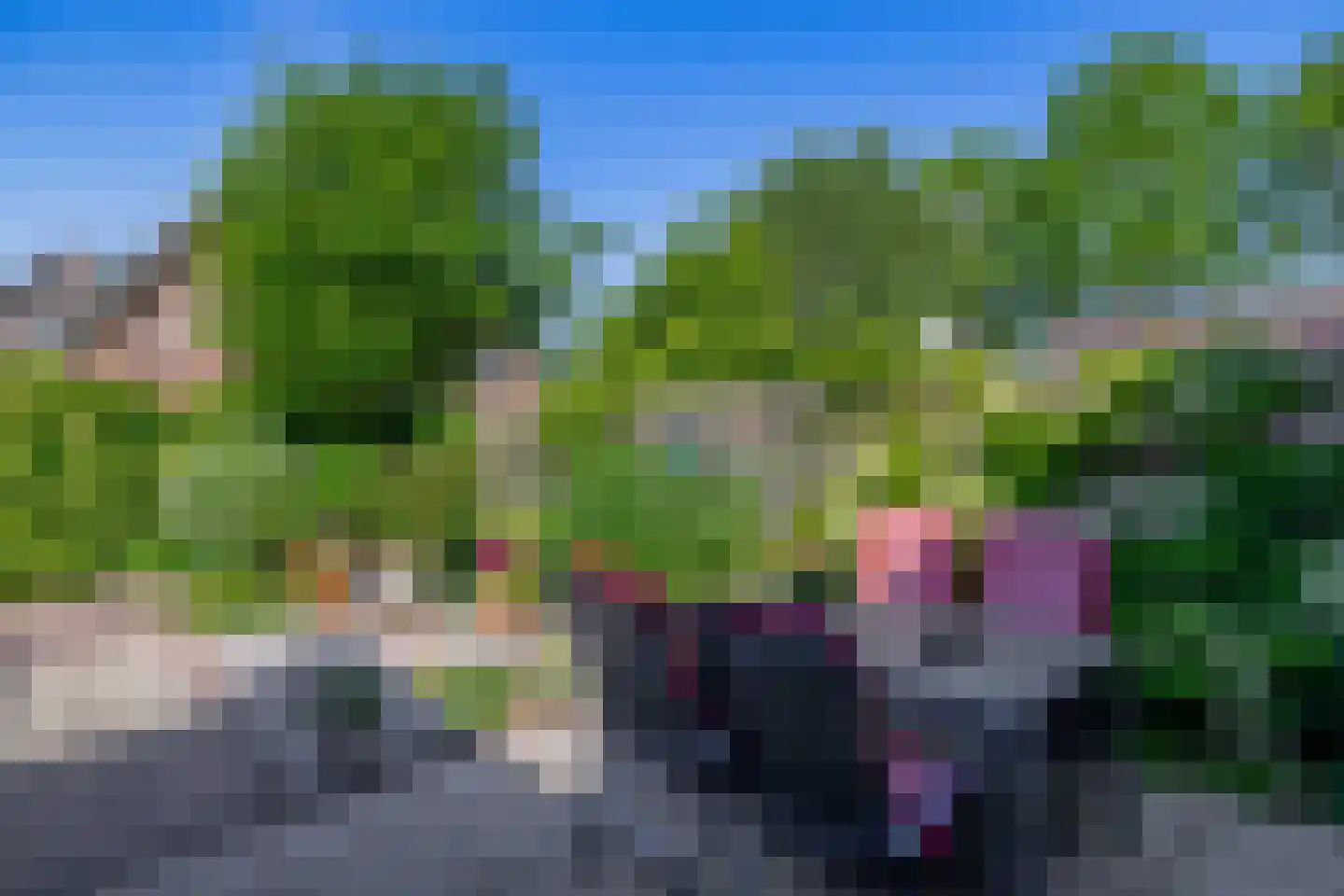 Boerekrookje 37 Boornbergum thumbnail 28