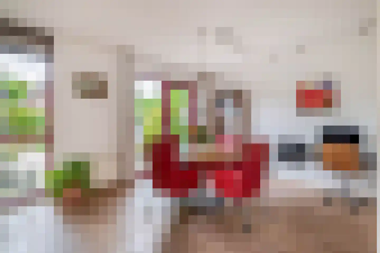 Boerekrookje 37 Boornbergum thumbnail 7