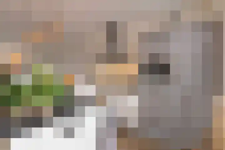 Boerekrookje 77 Boornbergum thumbnail 10