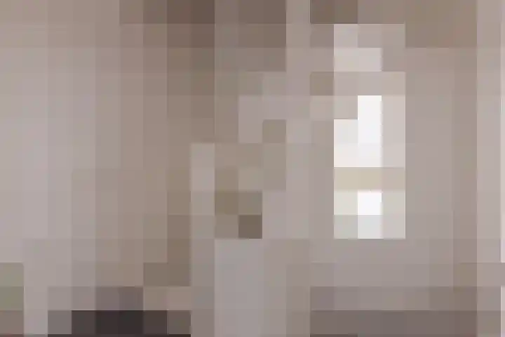 Boerekrookje 77 Boornbergum thumbnail 12