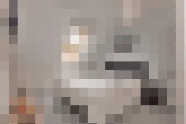 Boerekrookje 77 Boornbergum thumbnail 14
