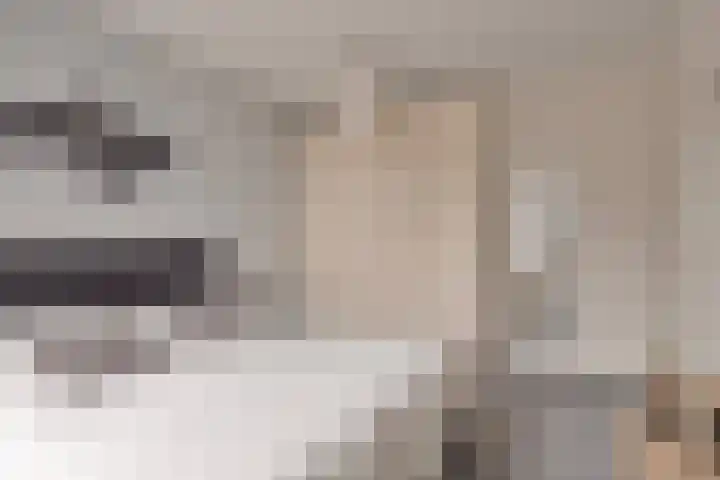 Boerekrookje 77 Boornbergum thumbnail 15