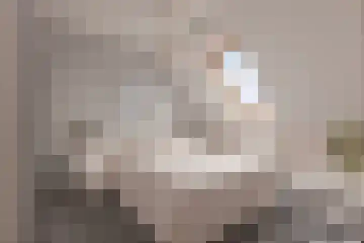 Boerekrookje 77 Boornbergum thumbnail 18
