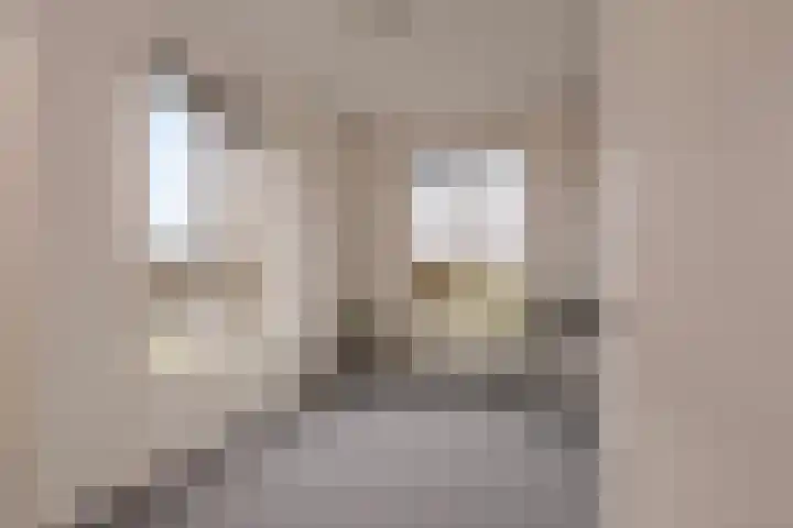 Boerekrookje 77 Boornbergum thumbnail 19