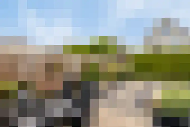 Boerekrookje 77 Boornbergum thumbnail 21