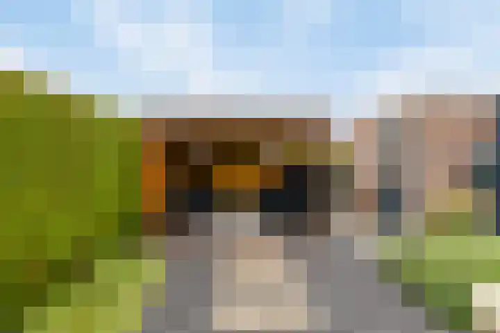 Boerekrookje 77 Boornbergum thumbnail 22