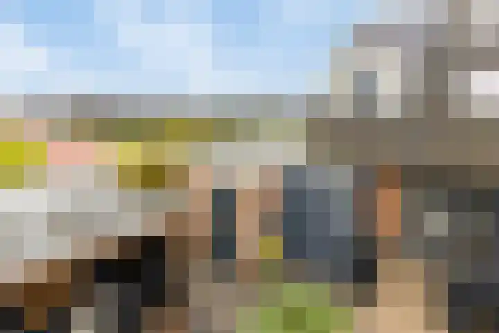 Boerekrookje 77 Boornbergum thumbnail 23