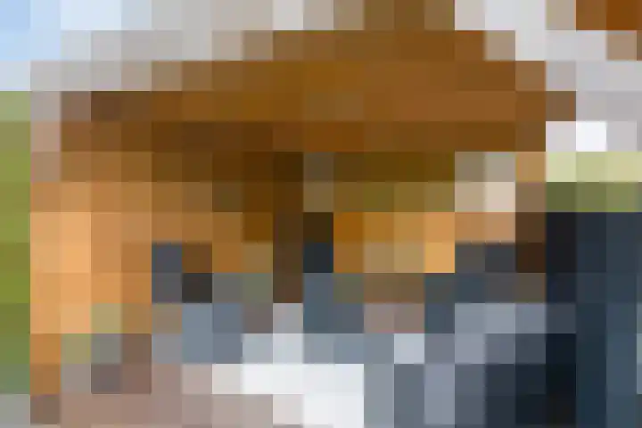 Boerekrookje 77 Boornbergum thumbnail 24