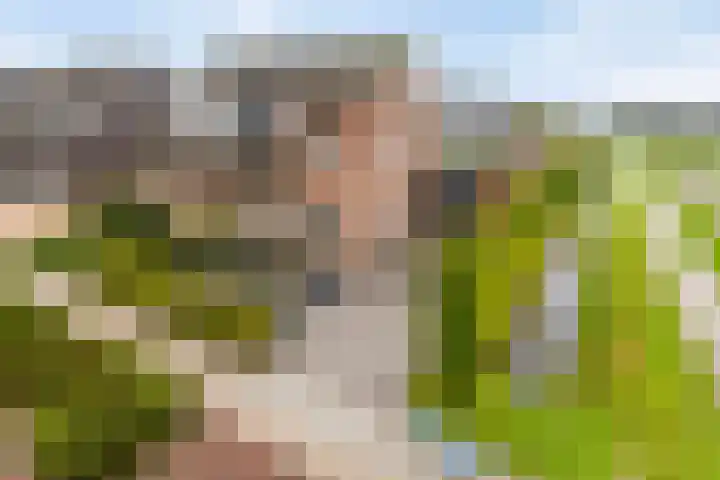 Boerekrookje 77 Boornbergum thumbnail 25