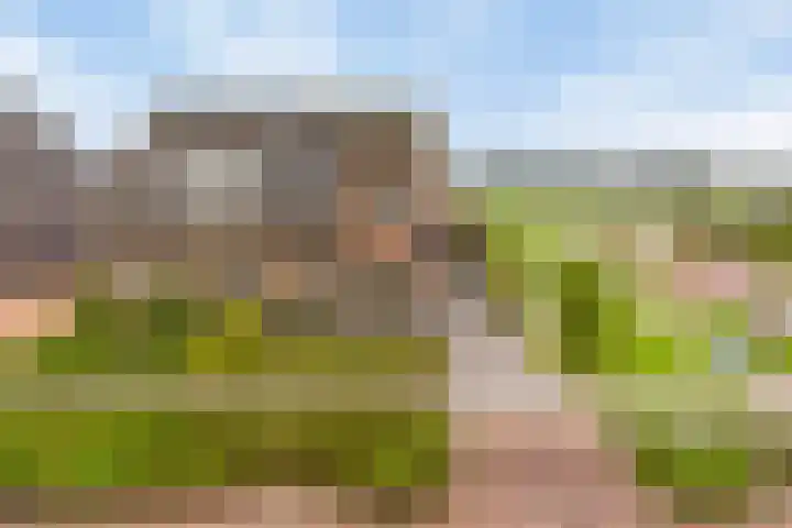 Boerekrookje 77 Boornbergum thumbnail 27