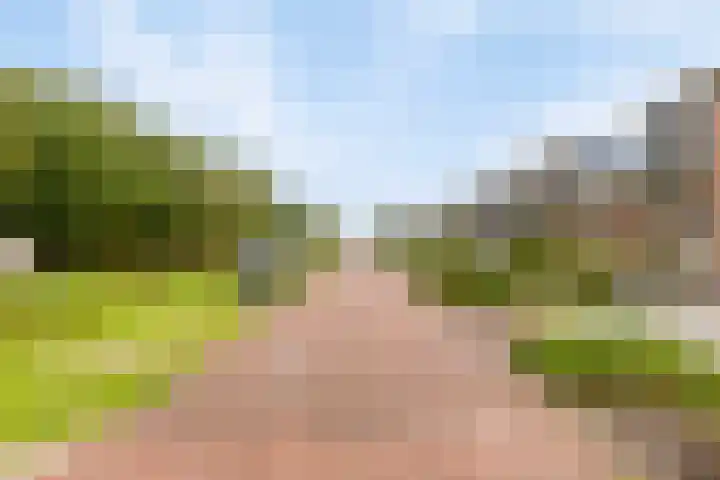 Boerekrookje 77 Boornbergum thumbnail 28