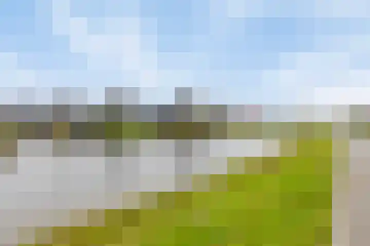 Boerekrookje 77 Boornbergum thumbnail 29