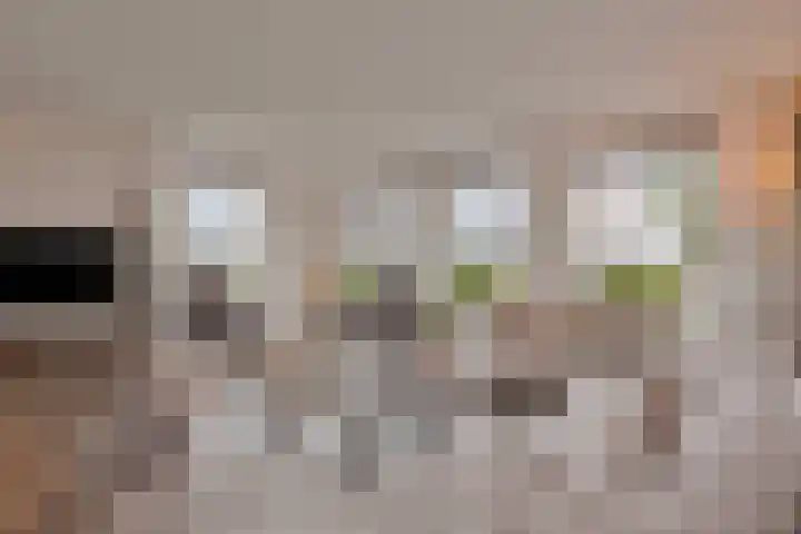 Boerekrookje 77 Boornbergum thumbnail 5