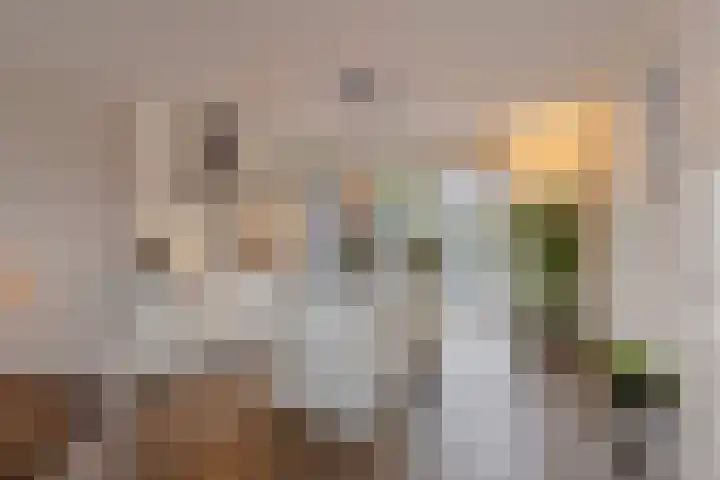 Boerekrookje 77 Boornbergum thumbnail 7