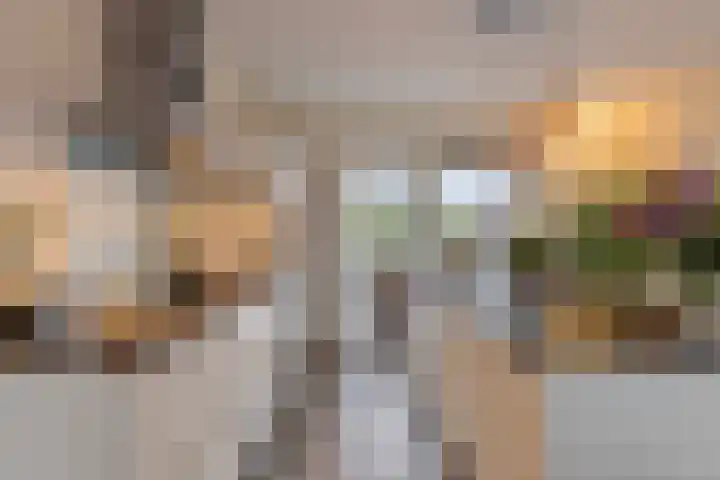 Boerekrookje 77 Boornbergum thumbnail 8