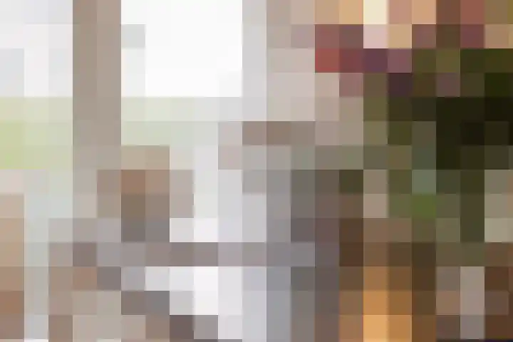 Boerekrookje 77 Boornbergum thumbnail 9
