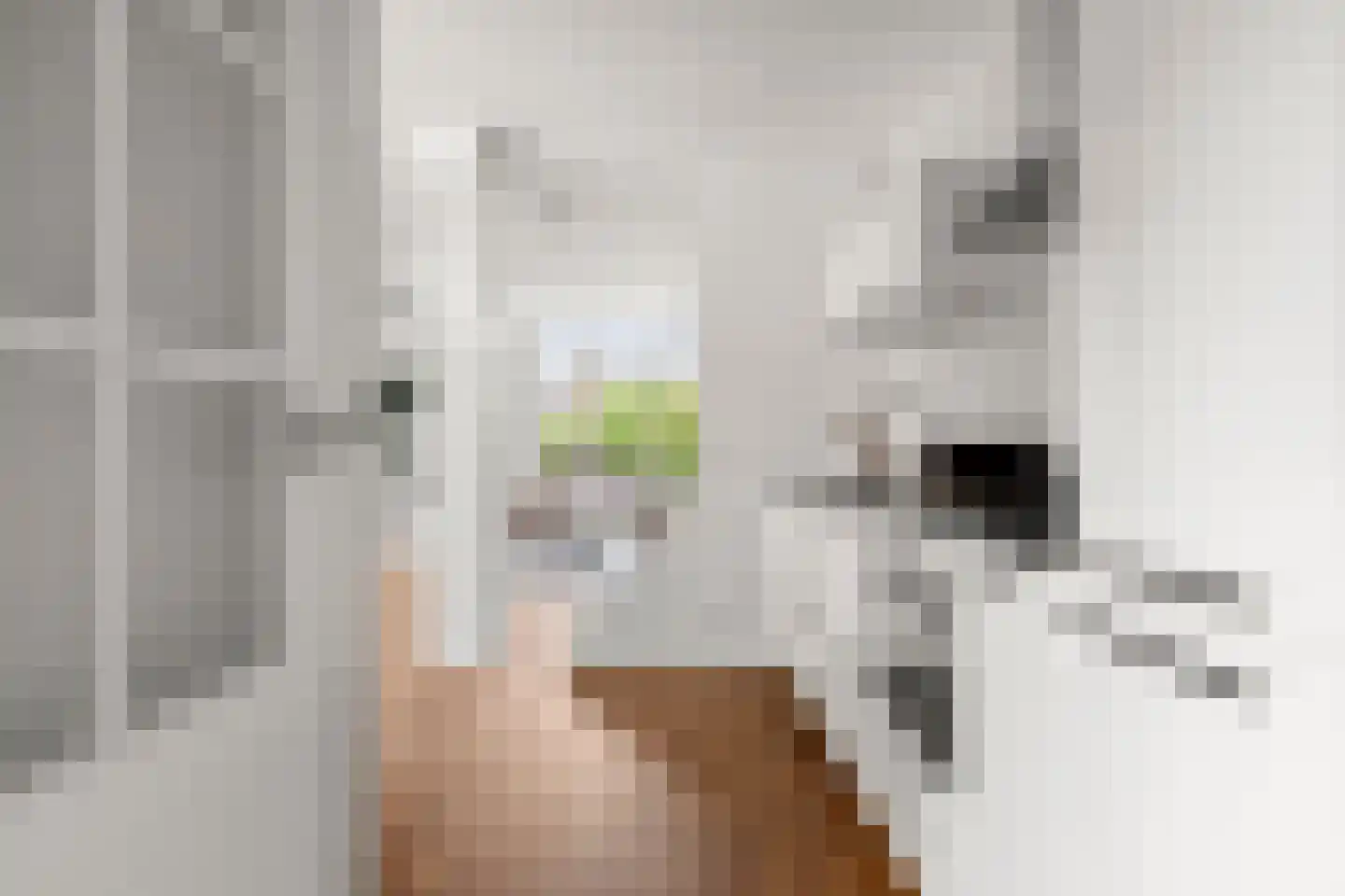 Boerenbond 8 Bennekom thumbnail 12