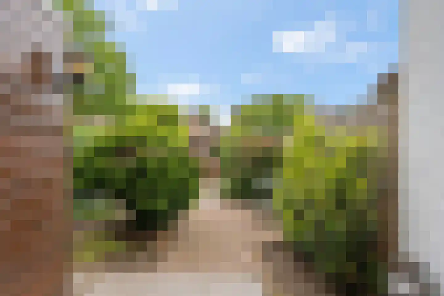 Boerenbond 8 Bennekom thumbnail 23