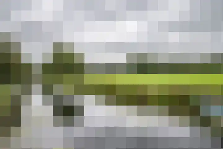 Boerendanserdijk 2 S Zwolle thumbnail 10