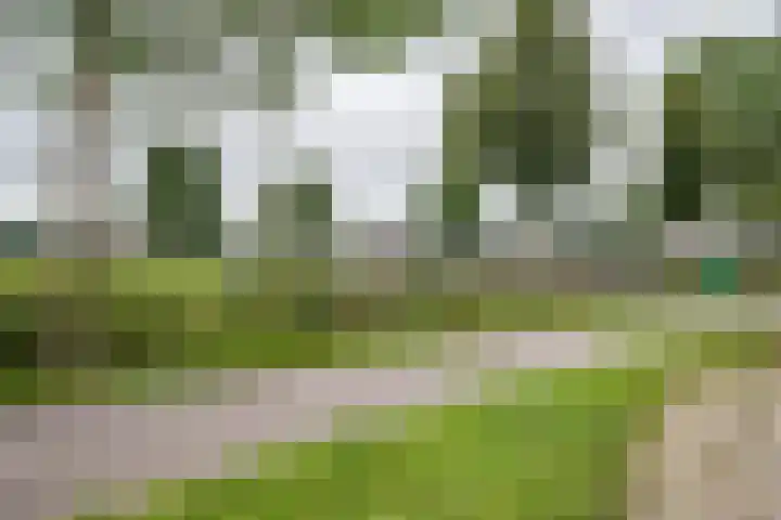 Boerendanserdijk 2 S Zwolle thumbnail 11