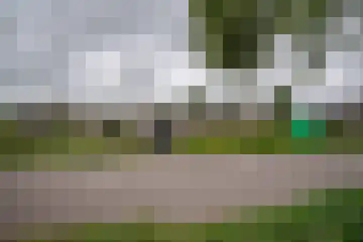 Boerendanserdijk 2 S Zwolle thumbnail 12
