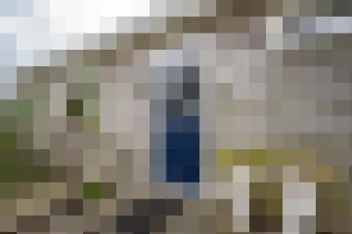 Boerendanserdijk 2 S Zwolle thumbnail 13