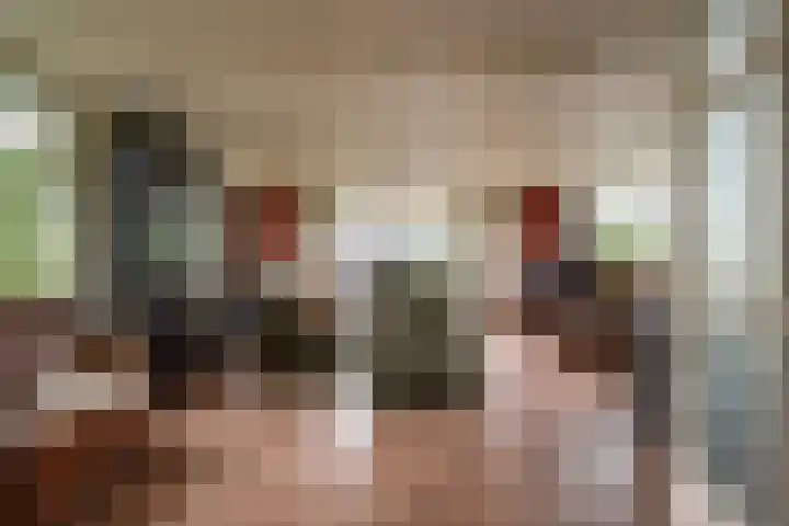 Boerendanserdijk 2 S Zwolle thumbnail 14