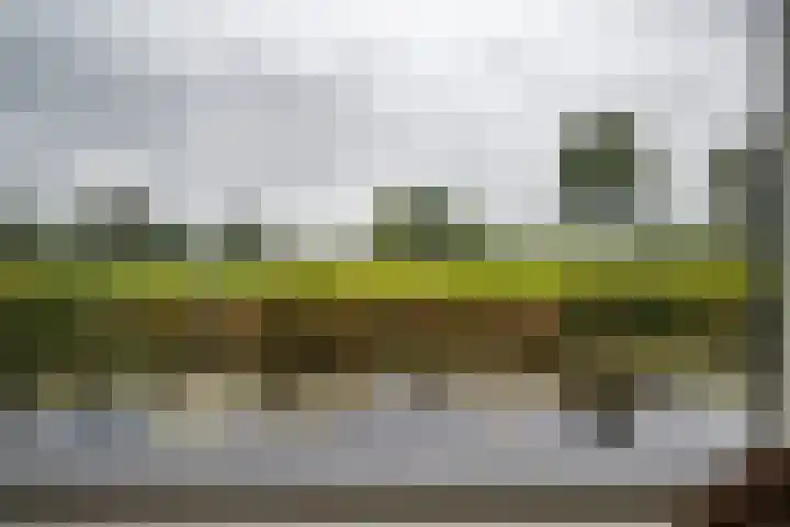 Boerendanserdijk 2 S Zwolle thumbnail 16