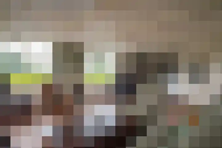 Boerendanserdijk 2 S Zwolle thumbnail 17