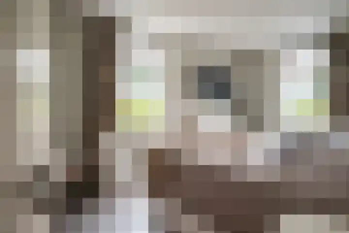 Boerendanserdijk 2 S Zwolle thumbnail 31