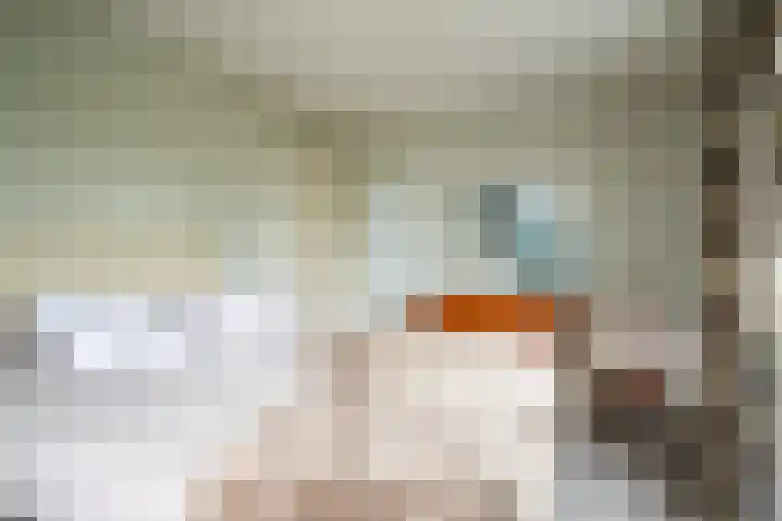 Boerendanserdijk 2 S Zwolle thumbnail 32