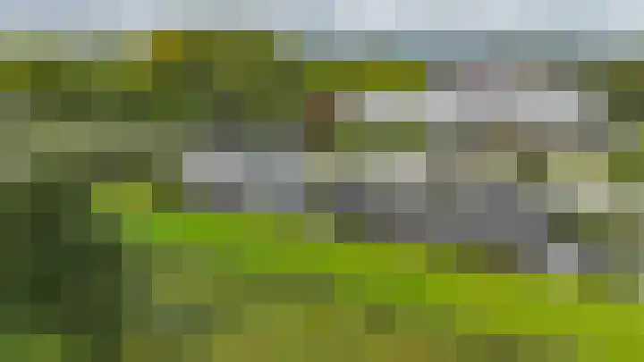 Boerendanserdijk 2 S Zwolle thumbnail 4