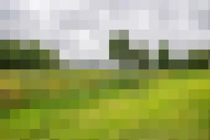 Boerendanserdijk 2 S Zwolle thumbnail 8