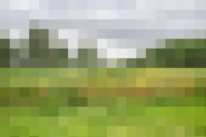 Boerendanserdijk 2 S Zwolle thumbnail 9